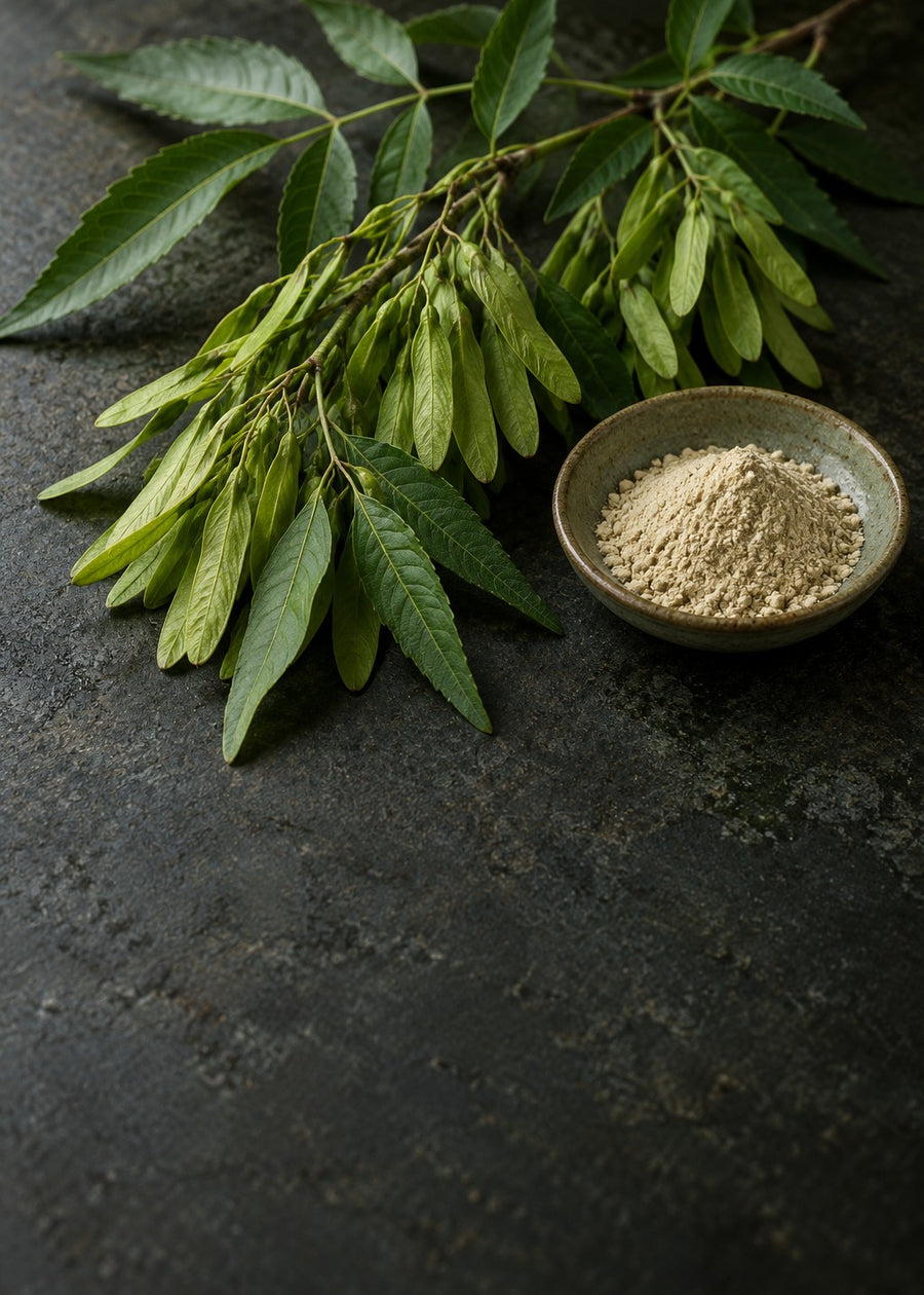Glucevia™ (Fraxinus angustifolia extract)