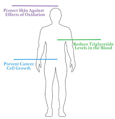 Tocotrienols: Applications and Health Benefits