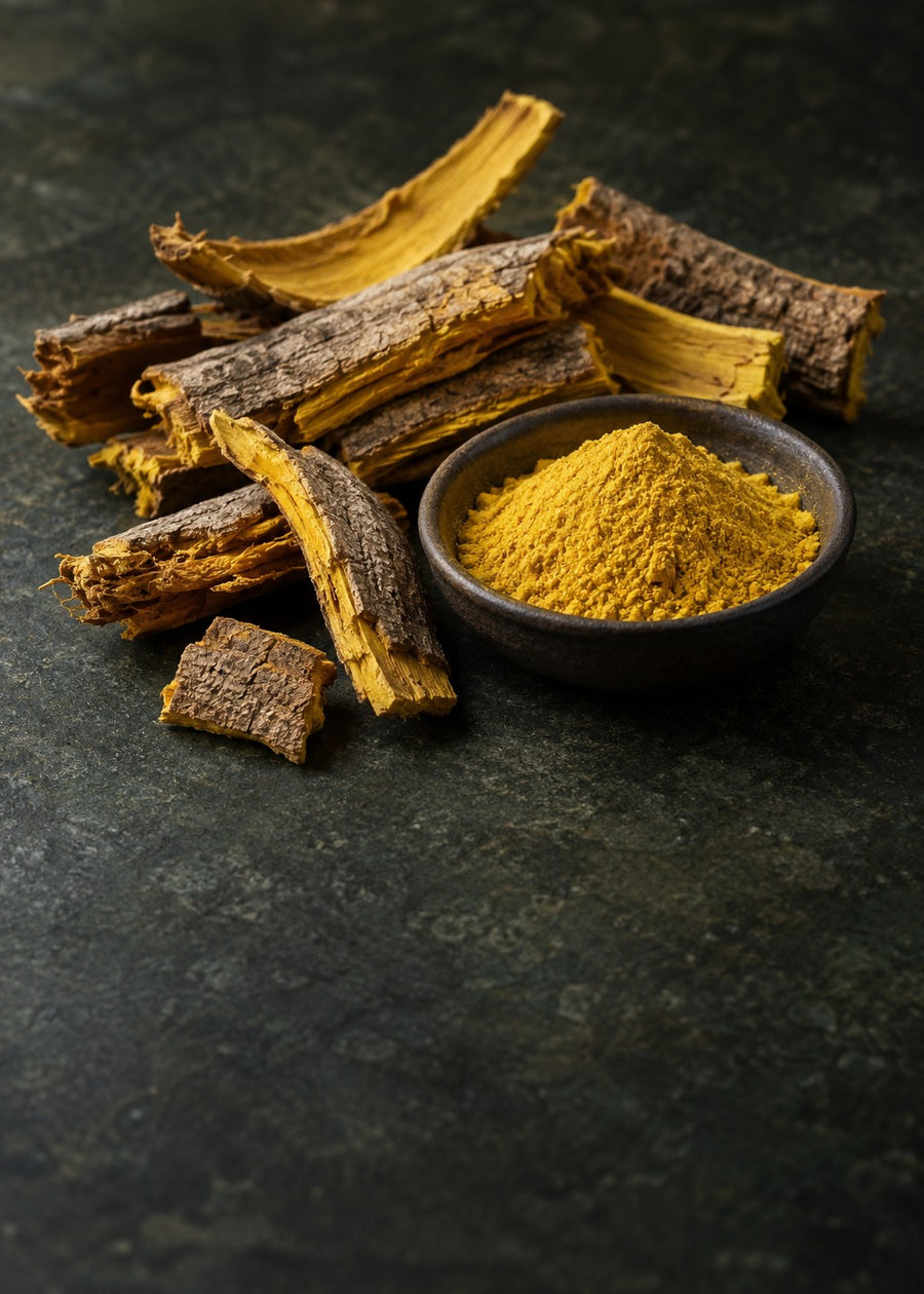 Phellodendron Bark Powder