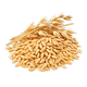 Organic Oat Beta Glucan