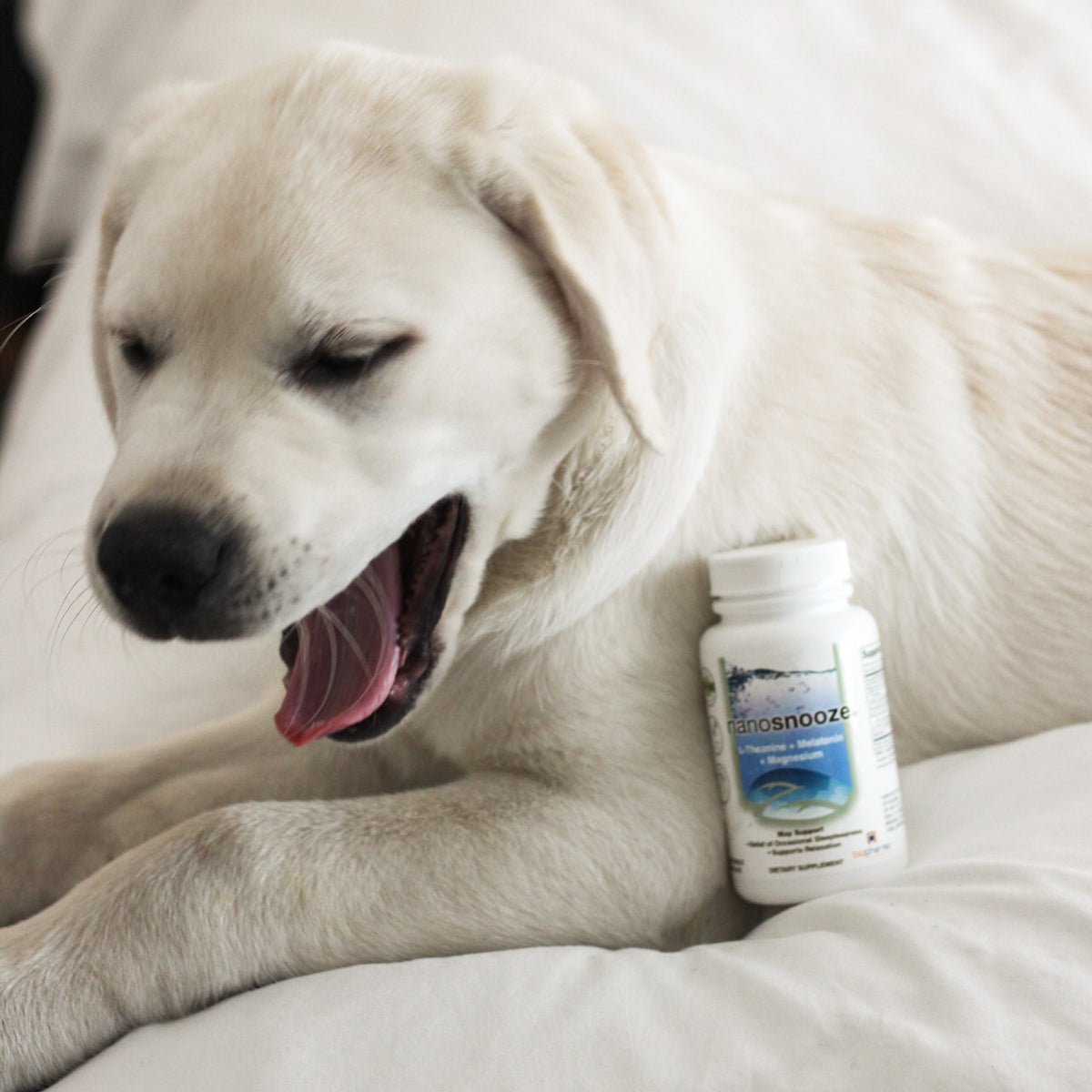nanosnooze: capsules biopharmasci