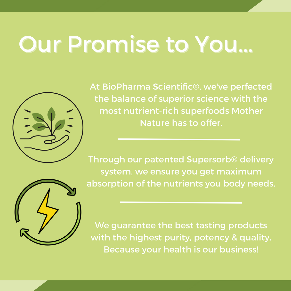 nanopro: vegan biopharmasci